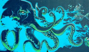 timehoodie-login-screen-background-of-octopus